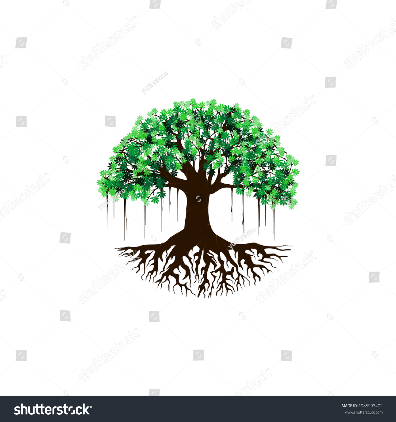 Tree Vector Illustration Roots Banyan Tree Stock Vector (Royalty Free ...