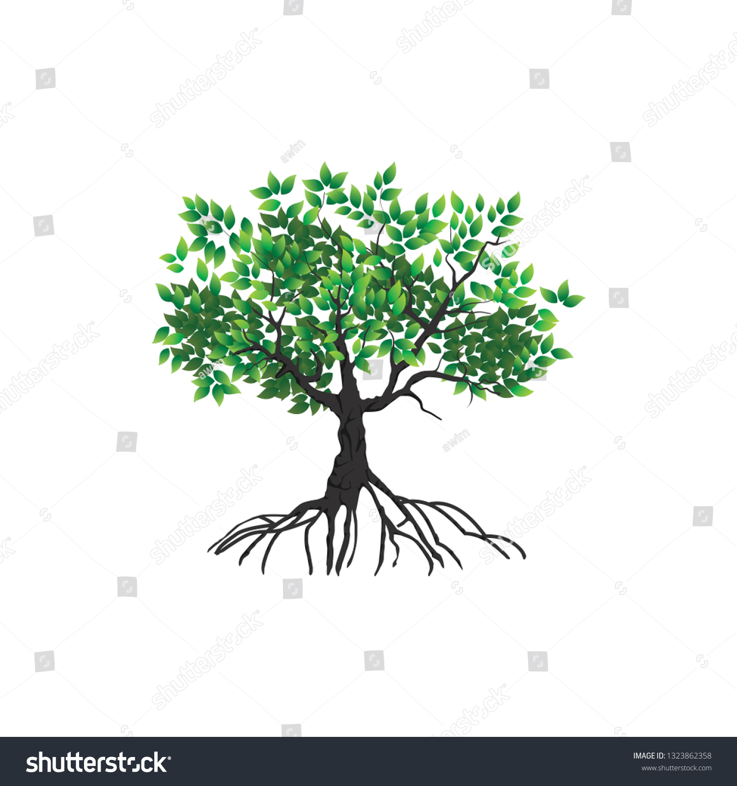 Tree Vector Illustrations Roots Mangrove Tree Stock Vector (Royalty ...