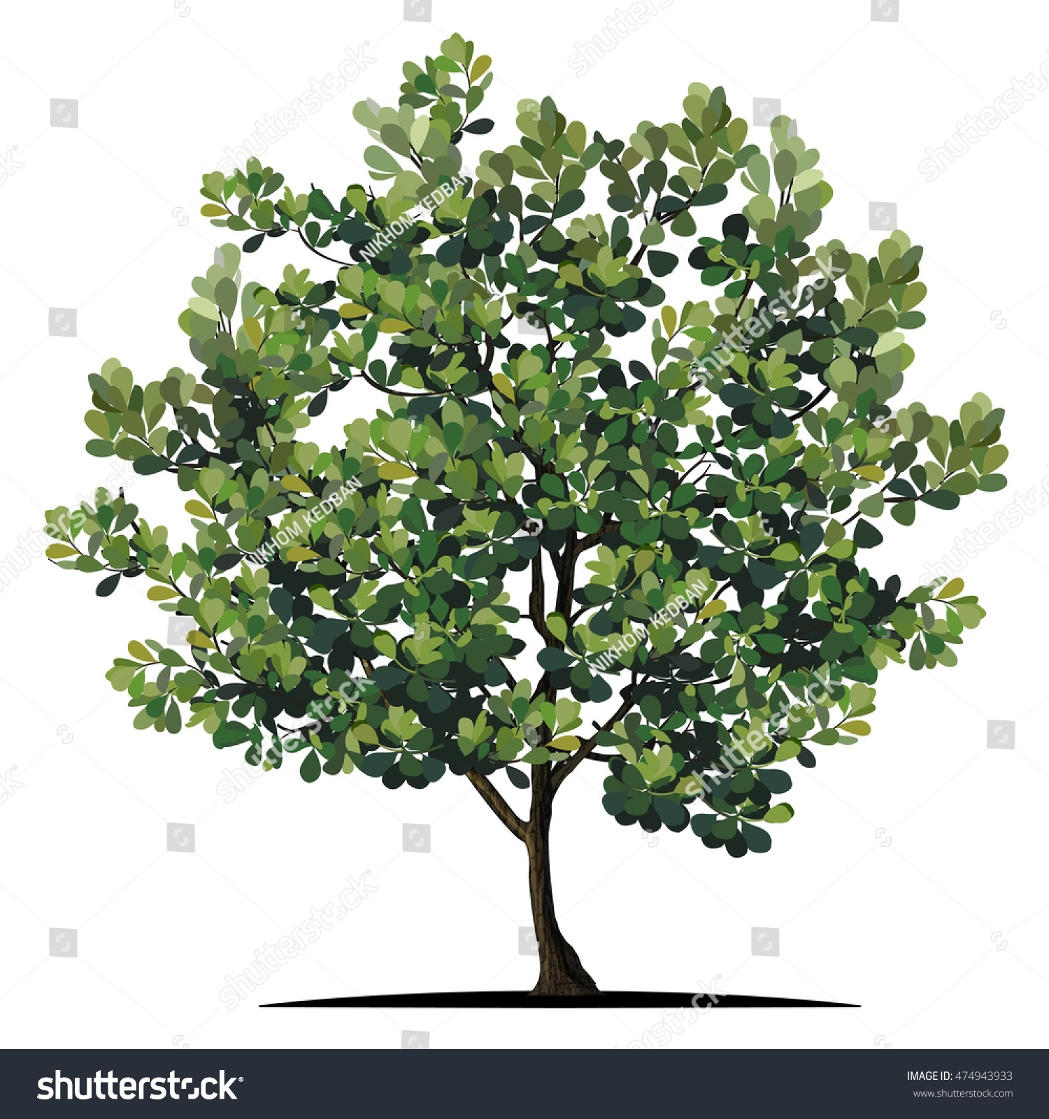 green tree on white background clip art preview