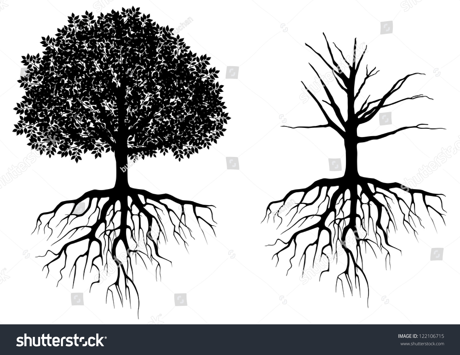 clipart tree with roots outline - photo #38