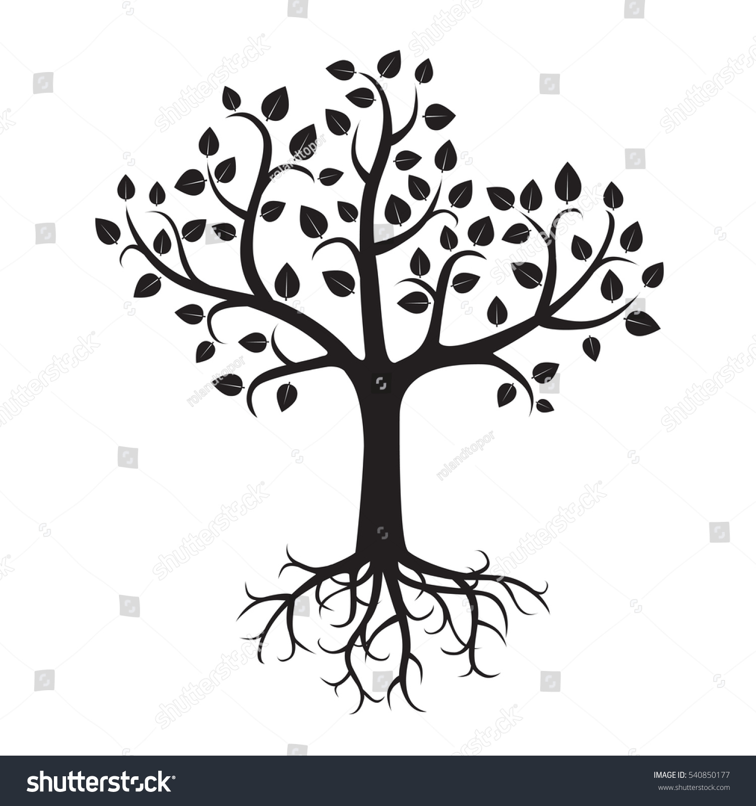 Tree Rootsvector Illustration Stock Vector (Royalty Free) 540850177 ...