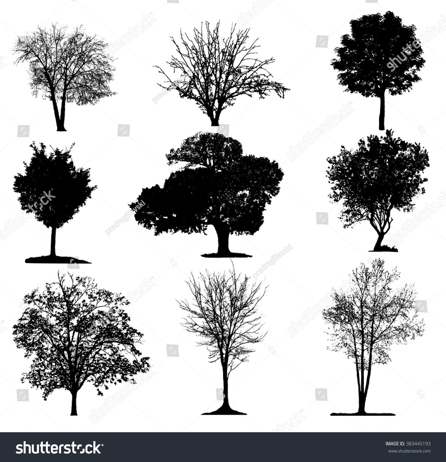 Trees Silhouette Collection Stock Vector Illustration 383445193 ...