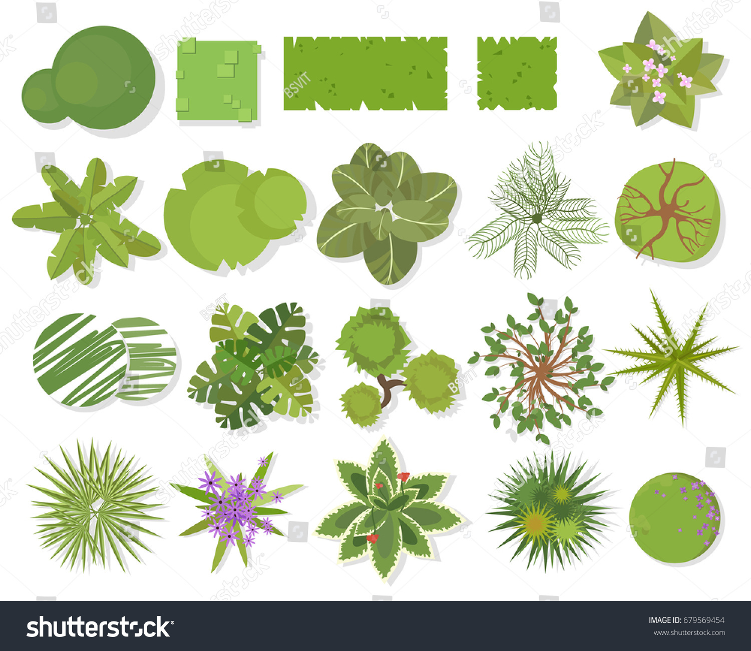 Trees Top Viewdifferent Trees Plants Vector Stock Vector 679569454 ... for Plant Top View Vector
177nar Trees Top Viewdifferent Trees Plants Vector Stock Vector 679569454 ... for Plant Top View Vector
177nar