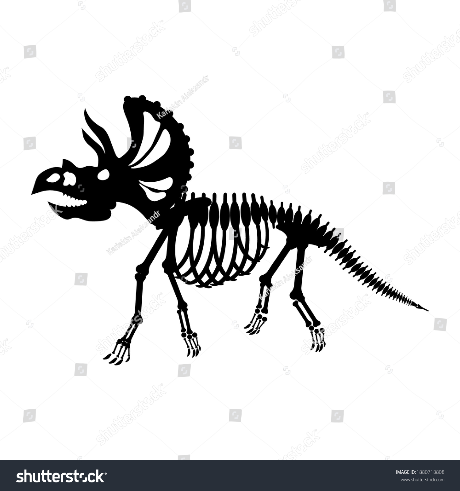 Triceratops Skeleton Silhouette Vector Illustration Vetor Stock Livre De Direitos 1880718808 