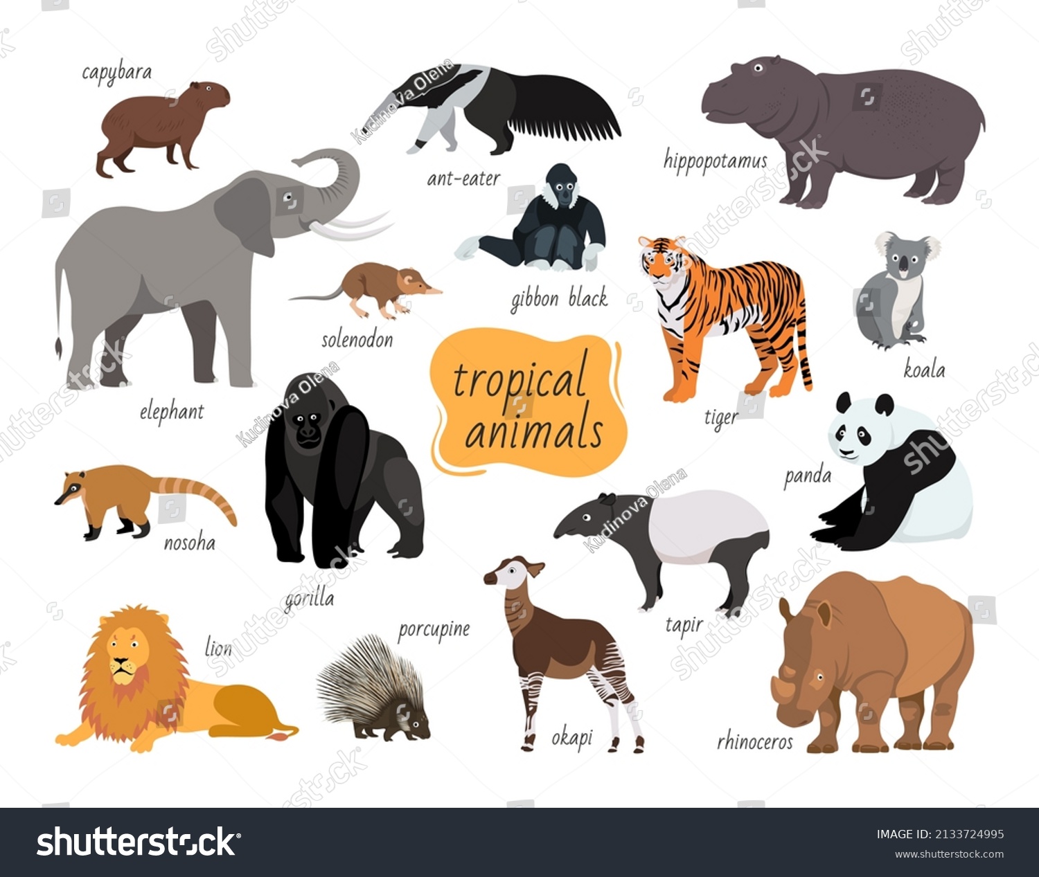 Tropical Animals Set Predators Herbivores Fauna Stock Vector (Royalty ...