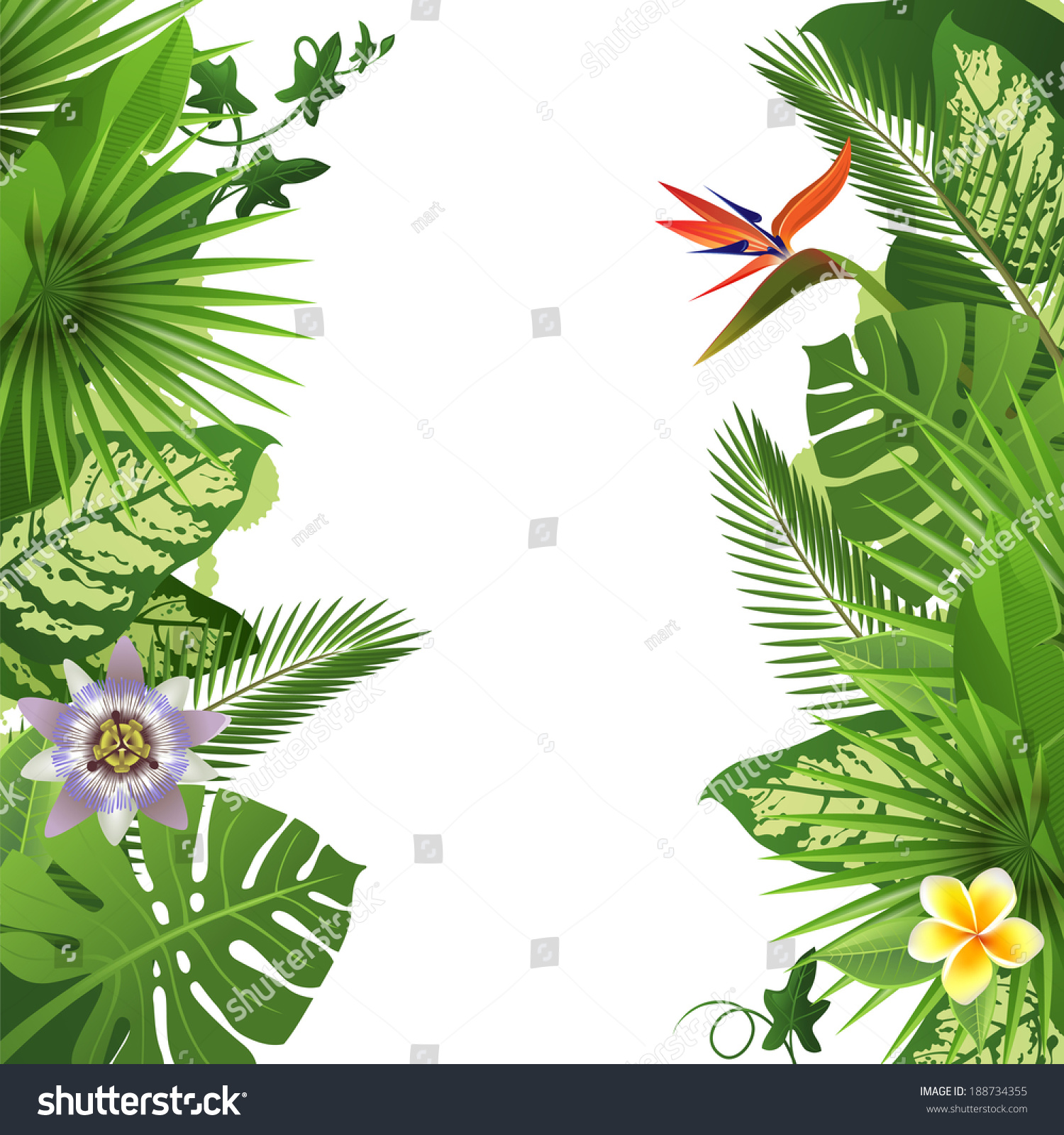 777,837 Tropical background coloring Stock Vectors, Images & Vector Art ...
