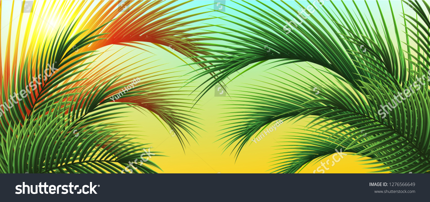 Tropical background with palm leaves and sunshine. 