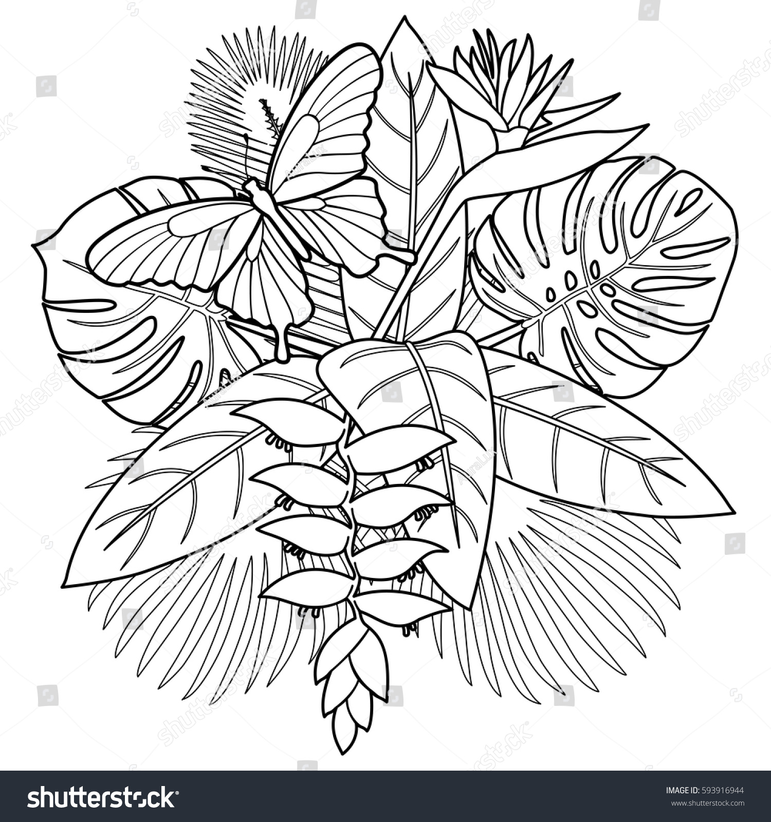 free tropical bouquet with flowers leaves and butterfly coloring page of tropic floral position isolated with flowers and butterflies coloring pages
