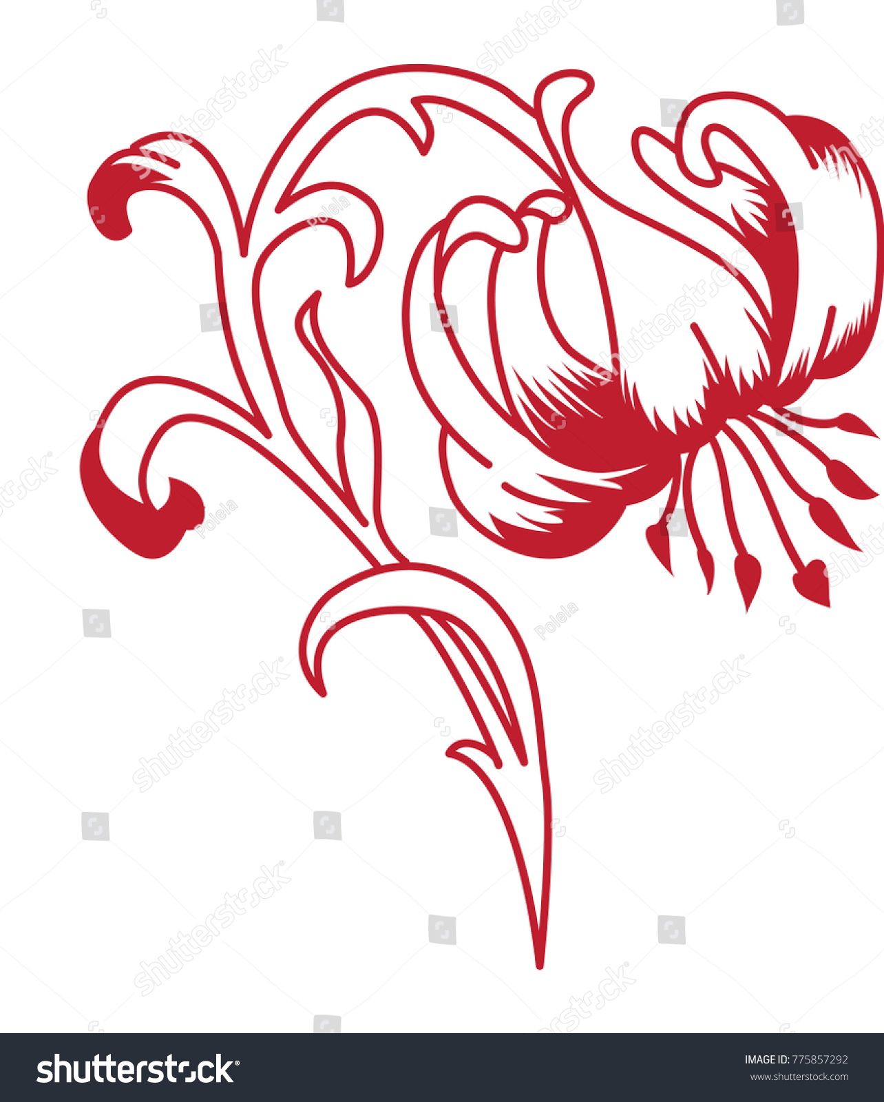tropical flowers hibiscus red lily flower stock vector royalty free wood engraving template