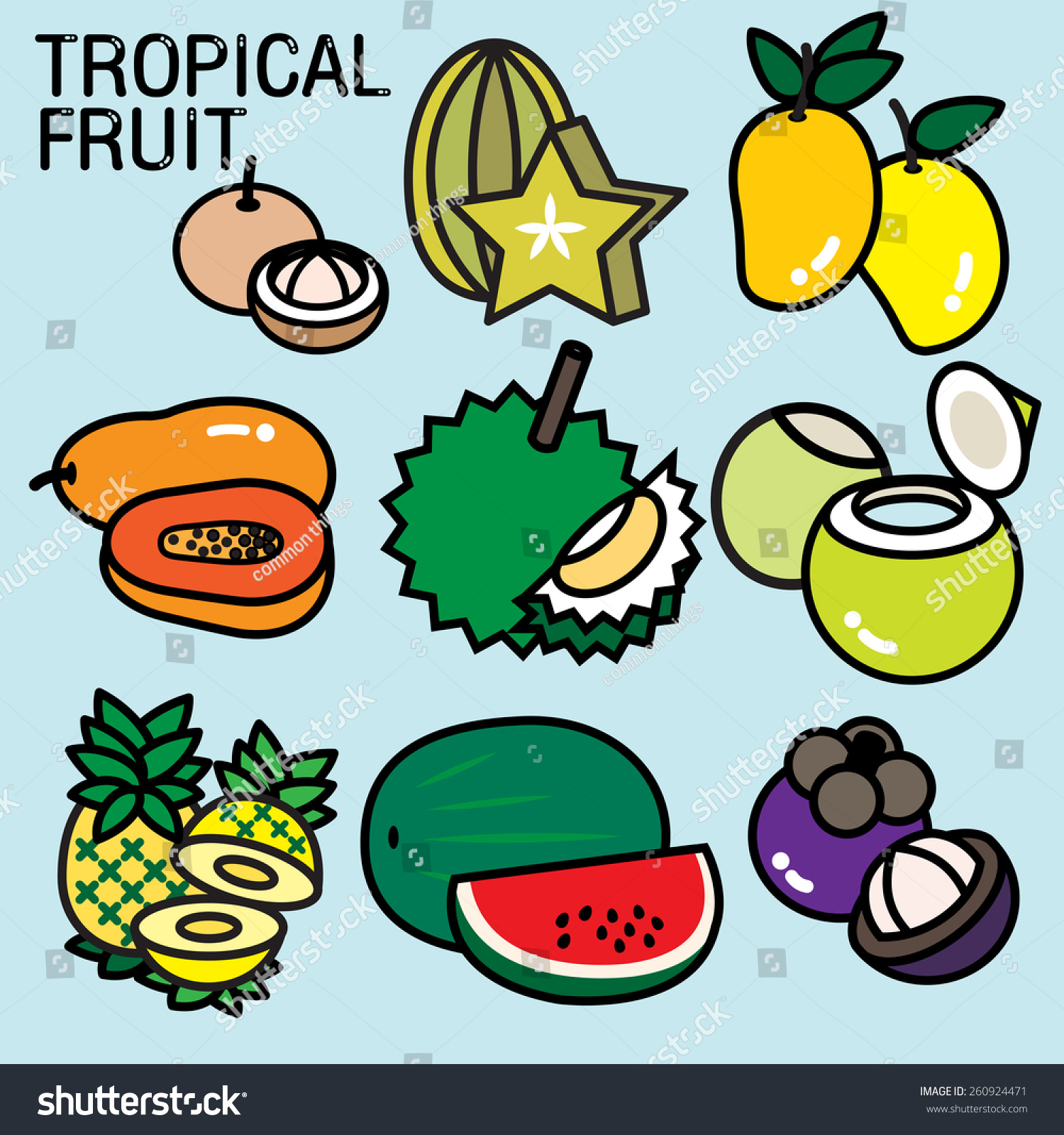 tropical fruits list fruits cultivated mostly stock vector