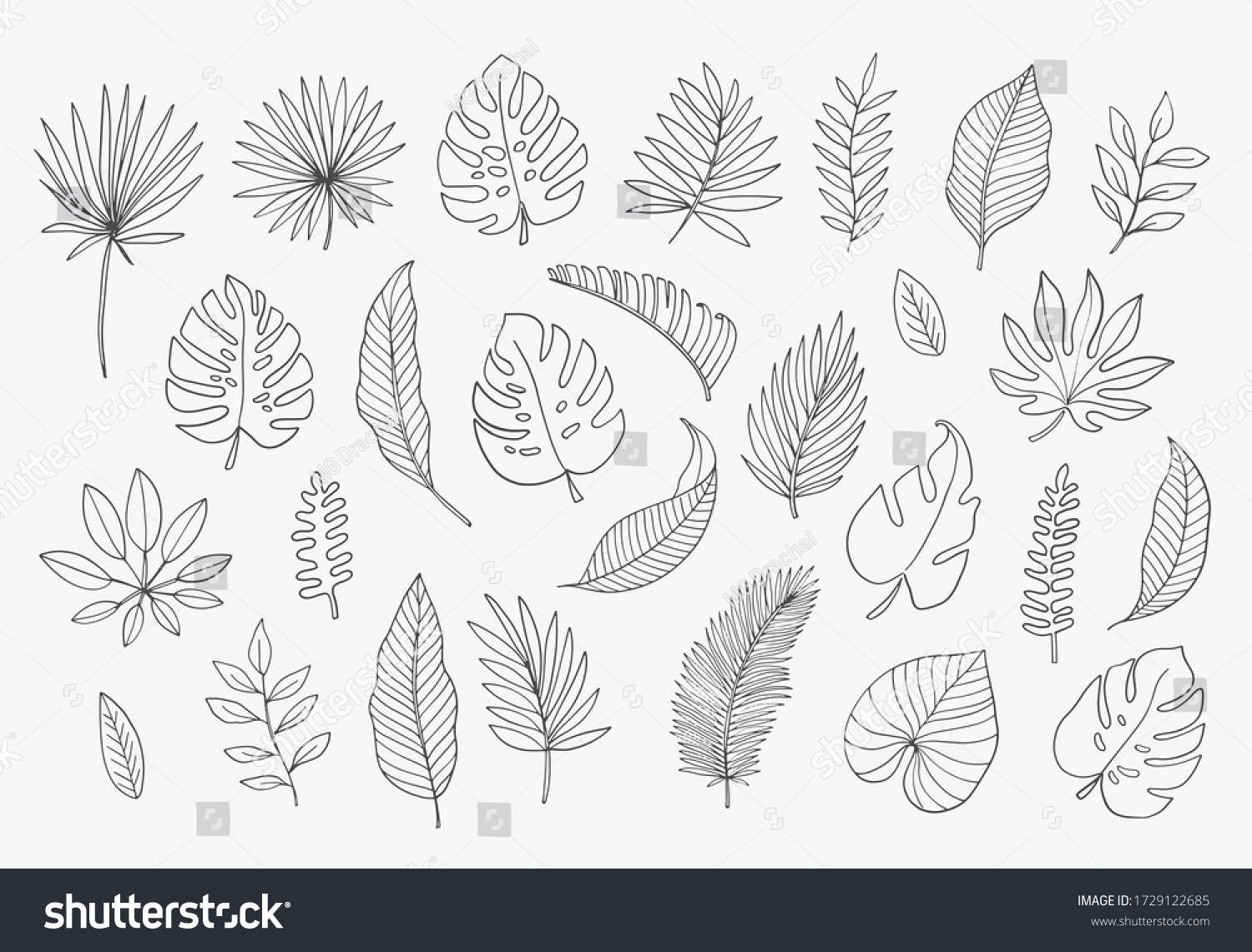 SVG of Tropical Leaves in doodle style. Vector hand drawn black line design elements. Exotic summer botanical illustrations. Monstera leaves, palm, banana leaf.
 svg