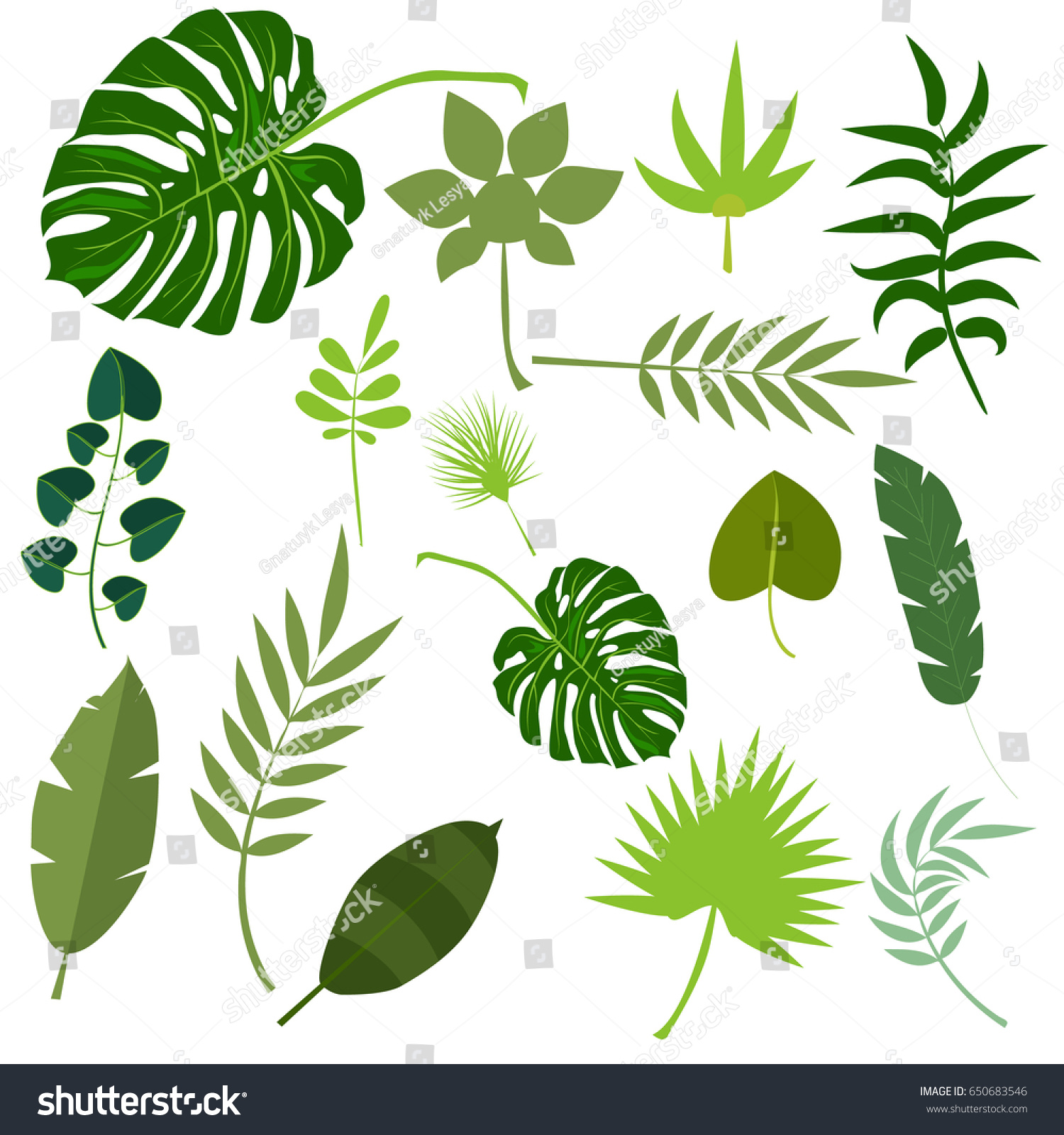 熱帯の葉ヤシの夏のエキゾチックなジャングルの緑の葉のベクターイラスト 熱帯植物のハワイ自然の装飾花の緑の葉 フラワートロピックビーチモンステラの木 のベクター画像素材 ロイヤリティフリー