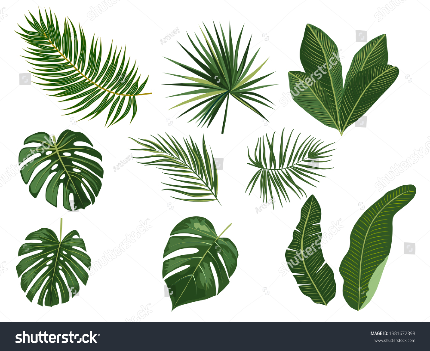 Tropical Palm Leaves Jungle Leaves Botanical Stock Vector (Royalty Free ...