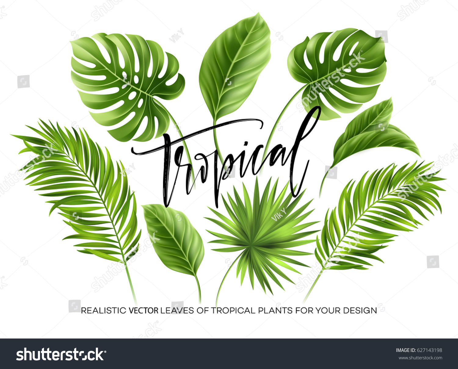 SVG of Tropical palm leaves set isolated on white background. Vector illustration EPS10 svg