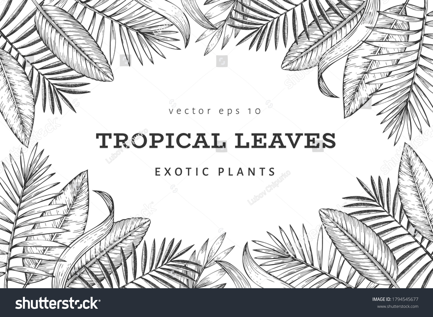 Tropical Plants Banner Design Hand Drawn Stock Vector Royalty Free 1794545677 