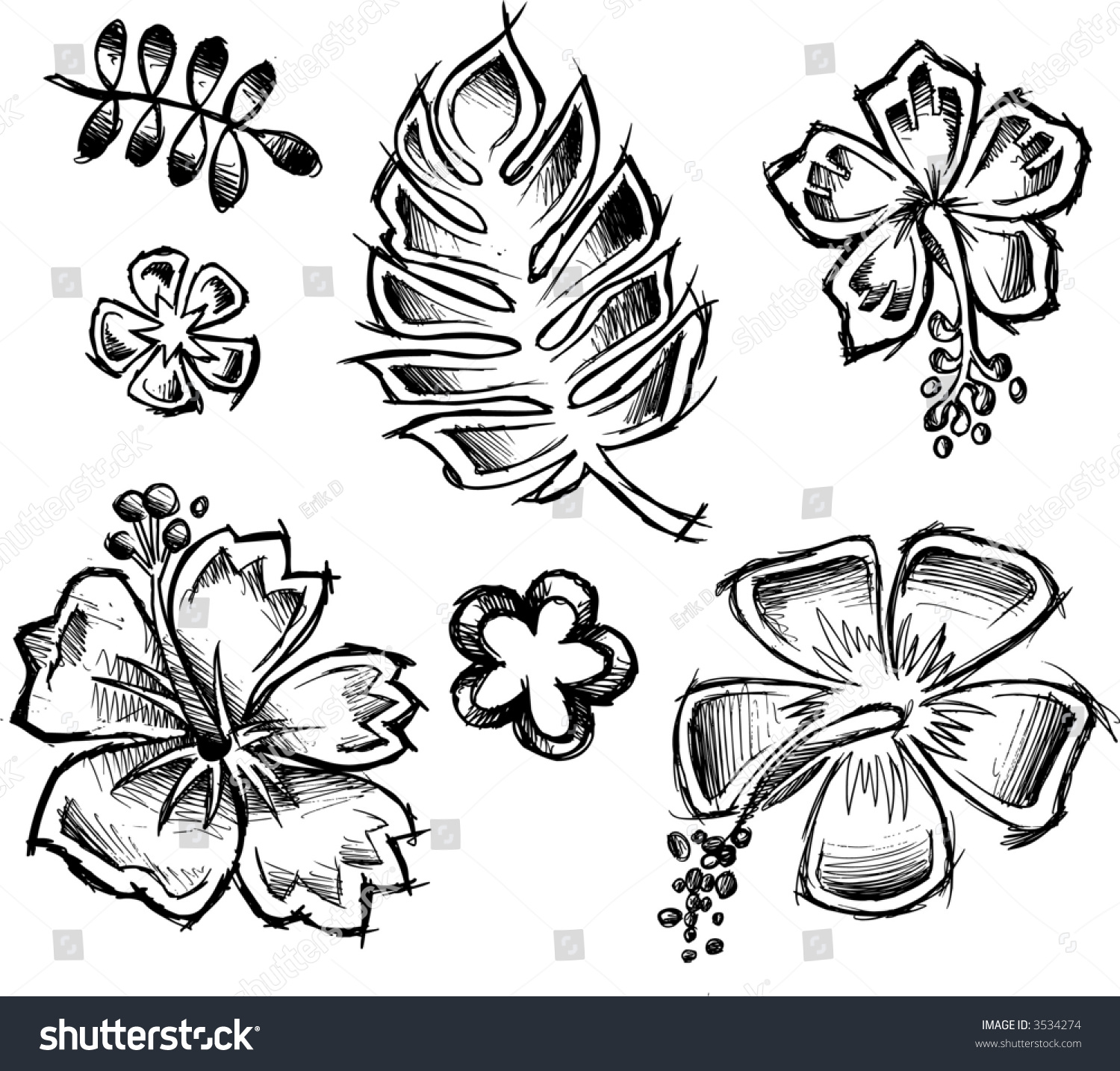 Tropical Sketch Elements Vector Illustration Stock Vector (Royalty Free ...