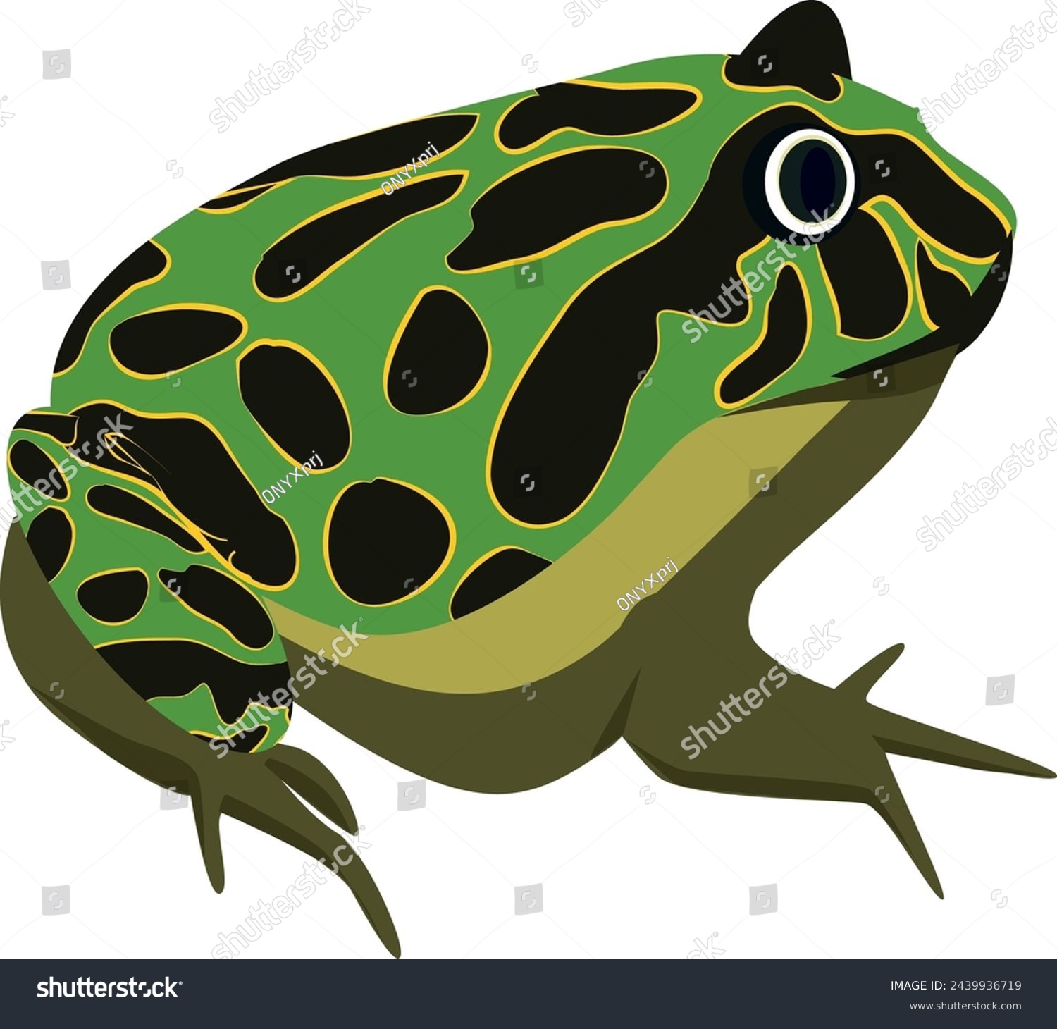SVG of Tropical toad. Colorful spot amphibia. Wild species svg