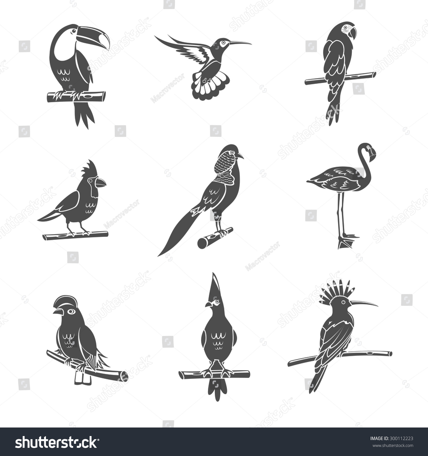 Tropical Wild Bird Black Silhouettes Icons Stock Vector (Royalty Free ...