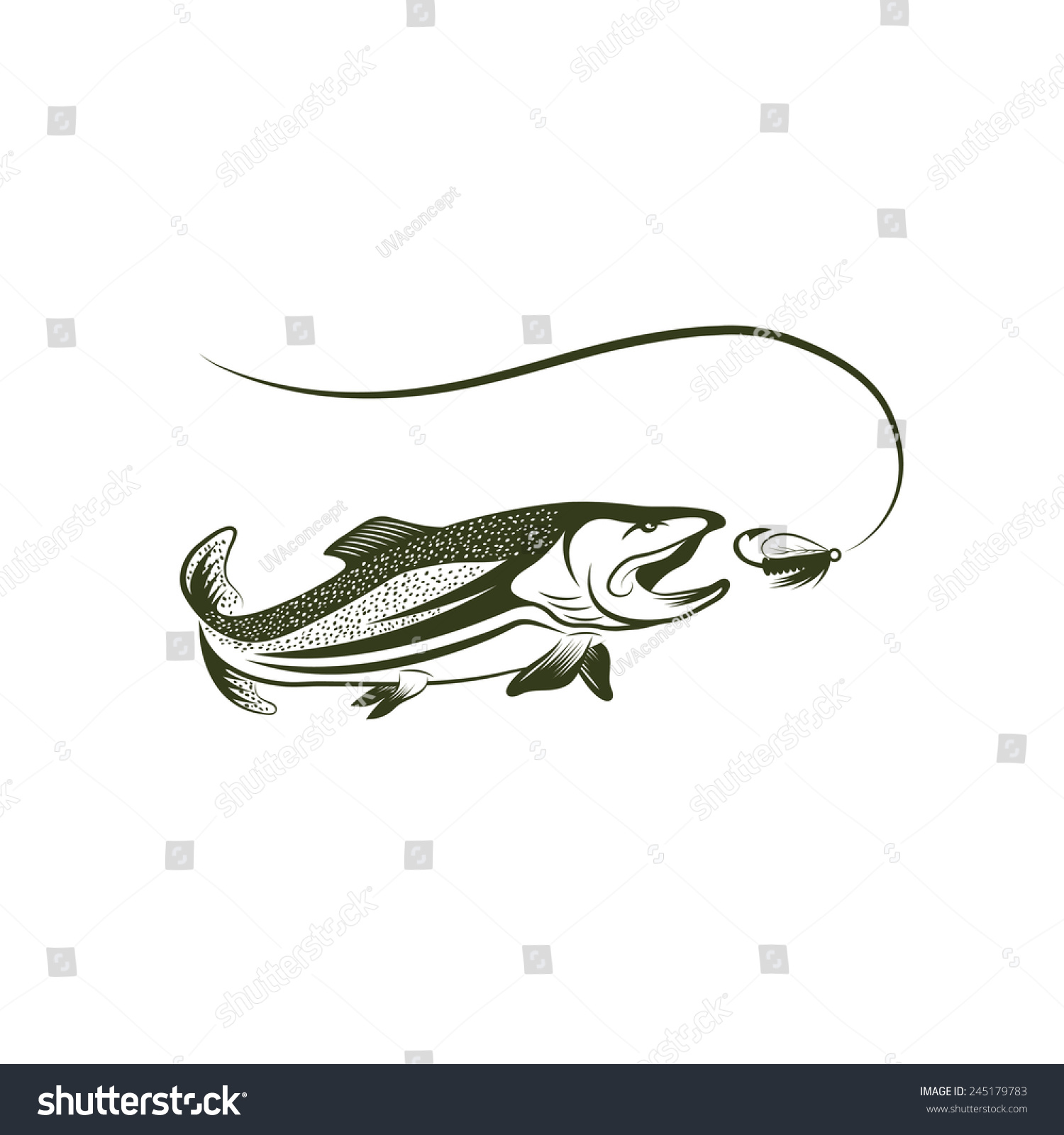 Trout And Lure Vector Design Template - 245179783 : Shutterstock