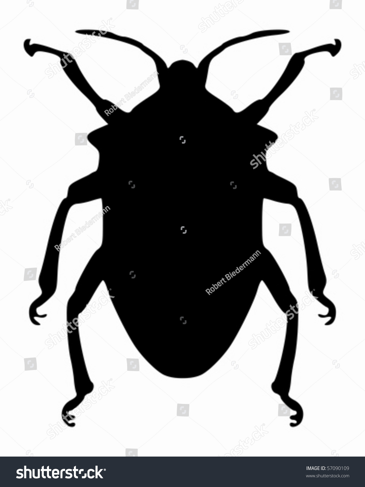 True Bug Silhouette Stock Vector 57090109 - Shutterstock