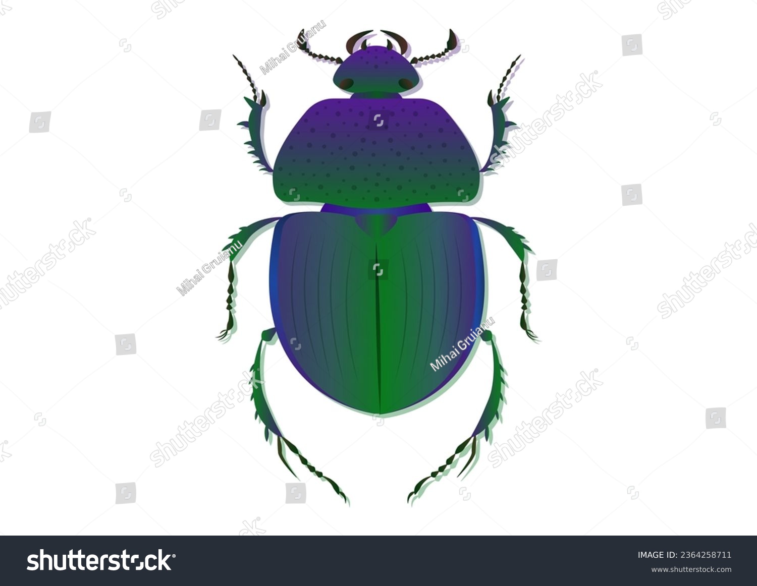 SVG of Trypocopris Vernalis Green Beetle Vector Art Isolated on White Background svg
