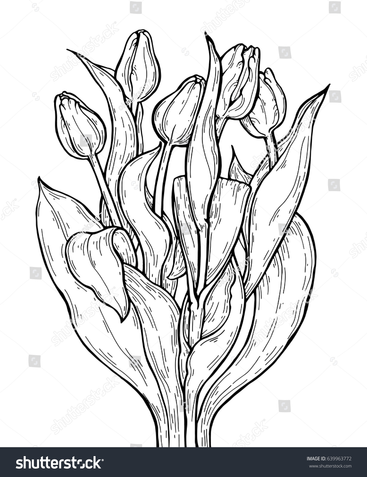 Tulip Flowers Bouquet Vector Artwork Black Stock Vector (Royalty Free ...