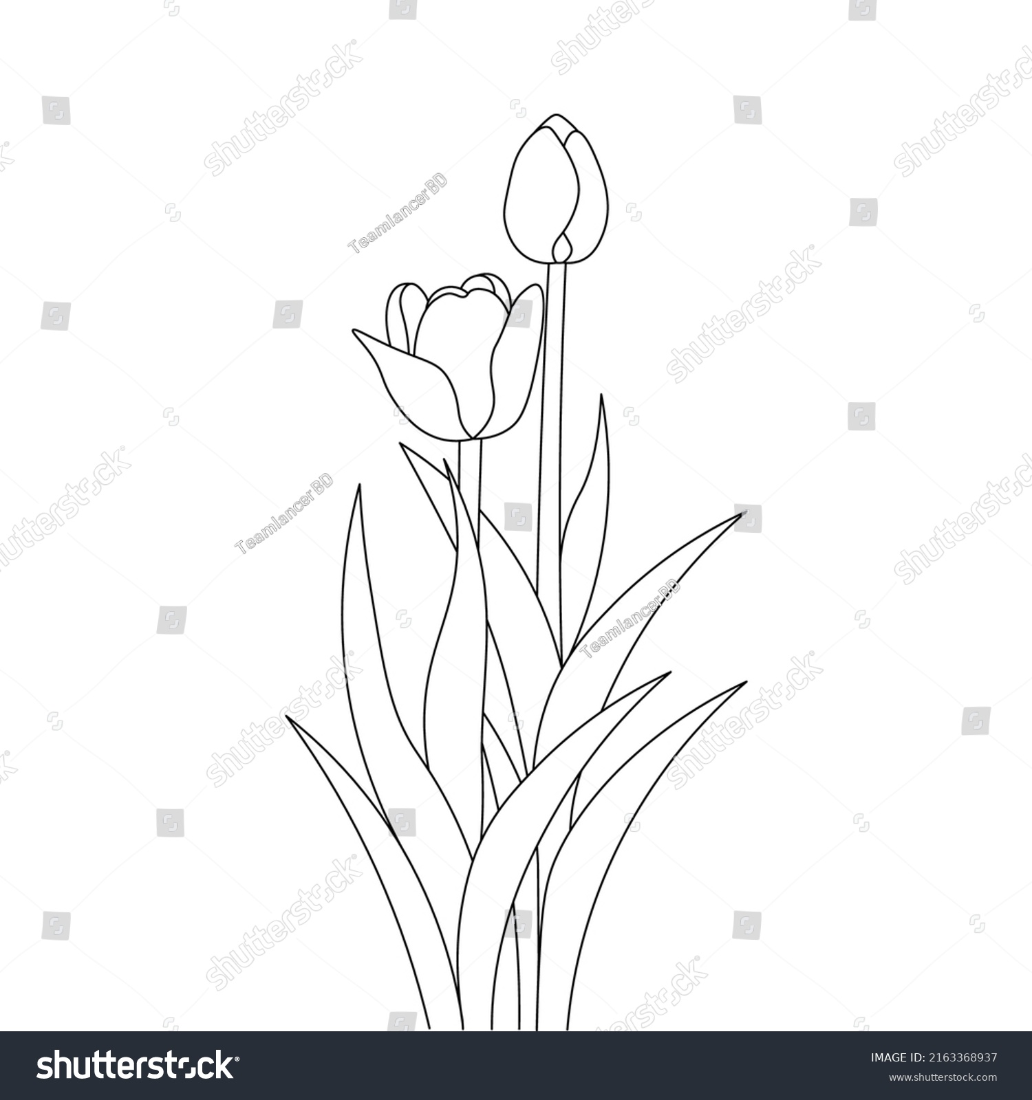 Tulip Line Art Flower Coloring Page Stock Vector (Royalty Free ...