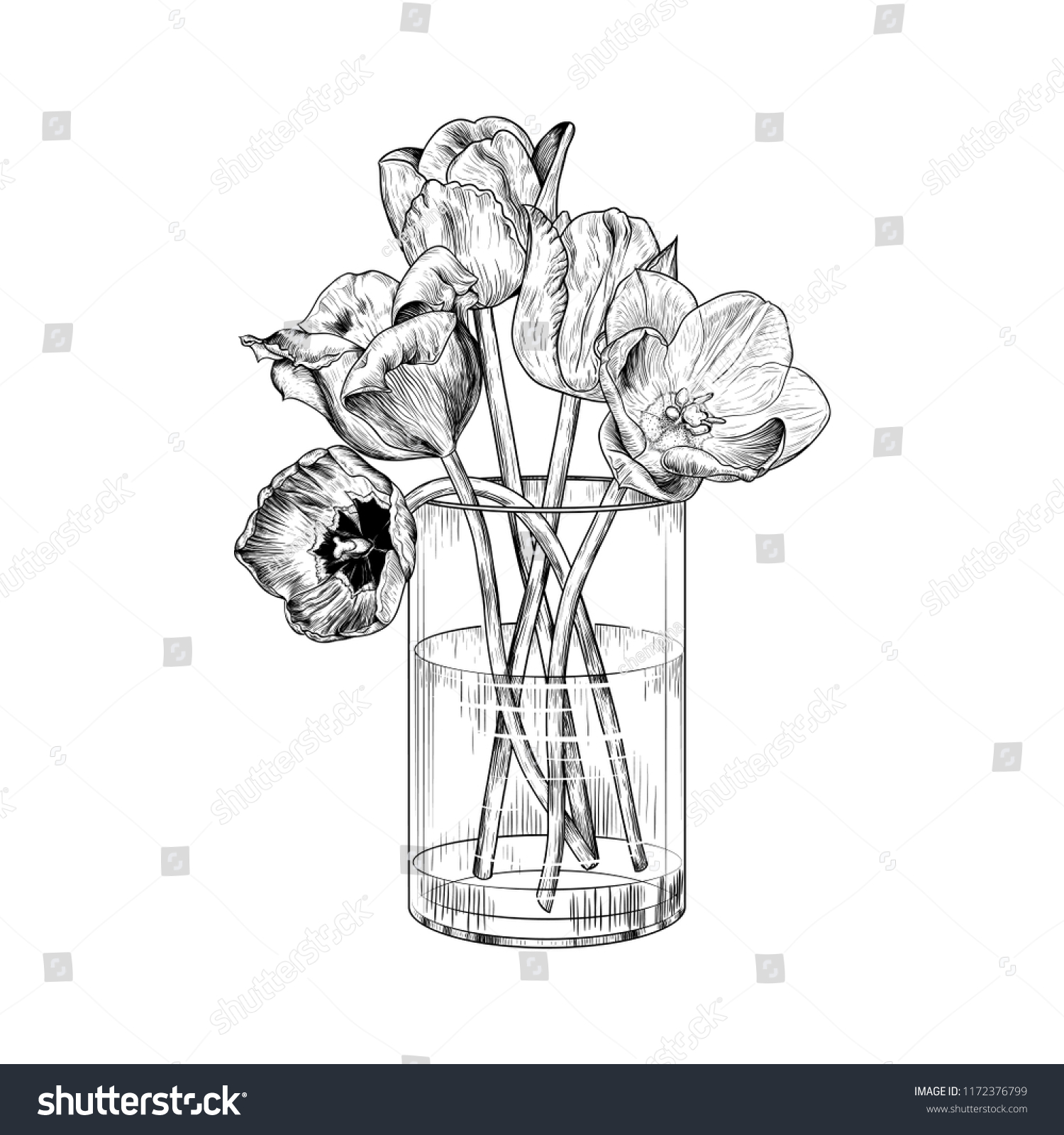 ガラスの花瓶にチューリップ スケッチスタイルの手描きのベクトルイラスト 独立した内部エレメント ビンテージ花柄の構成 のベクター画像素材 ロイヤリティフリー