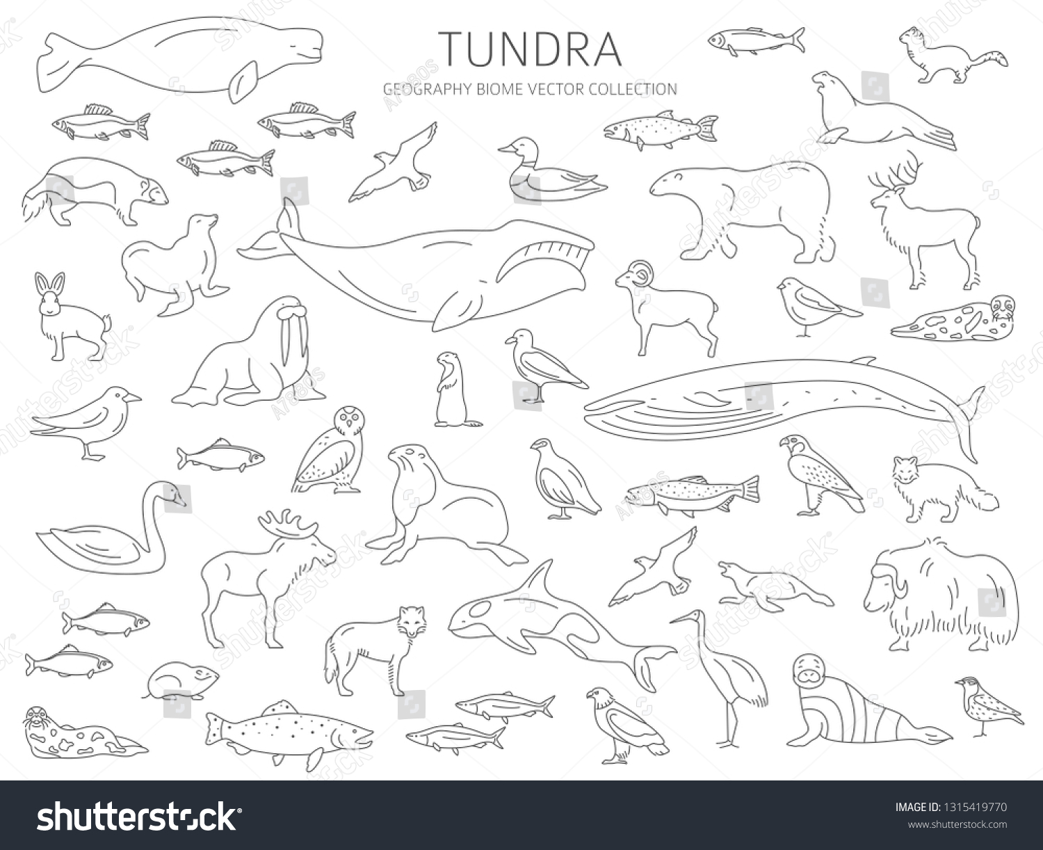 Tundra Biome Simple Line Style Terrestrial Stock Vector (Royalty Free ...