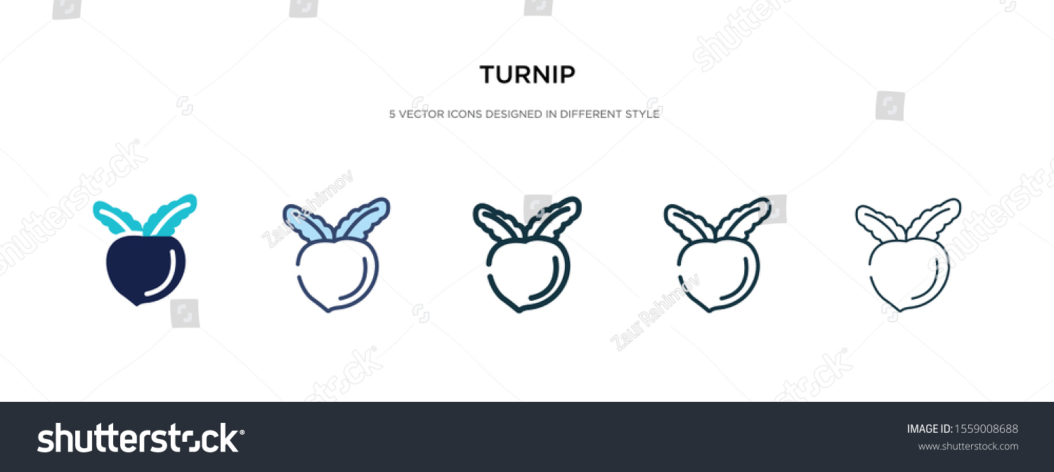 Turnip Icon Different Style Vector Illustration Stock Vector (Royalty ...