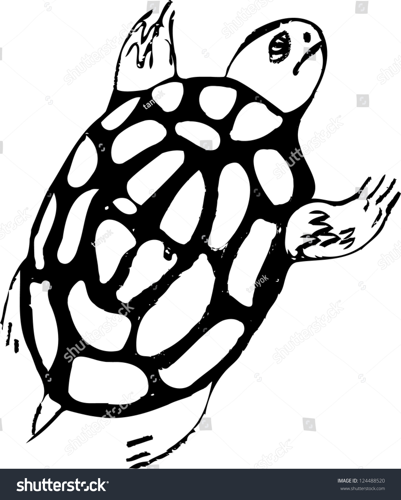 Turtle. Black And White Drawing. Stock Vector Illustration 124488520 ...