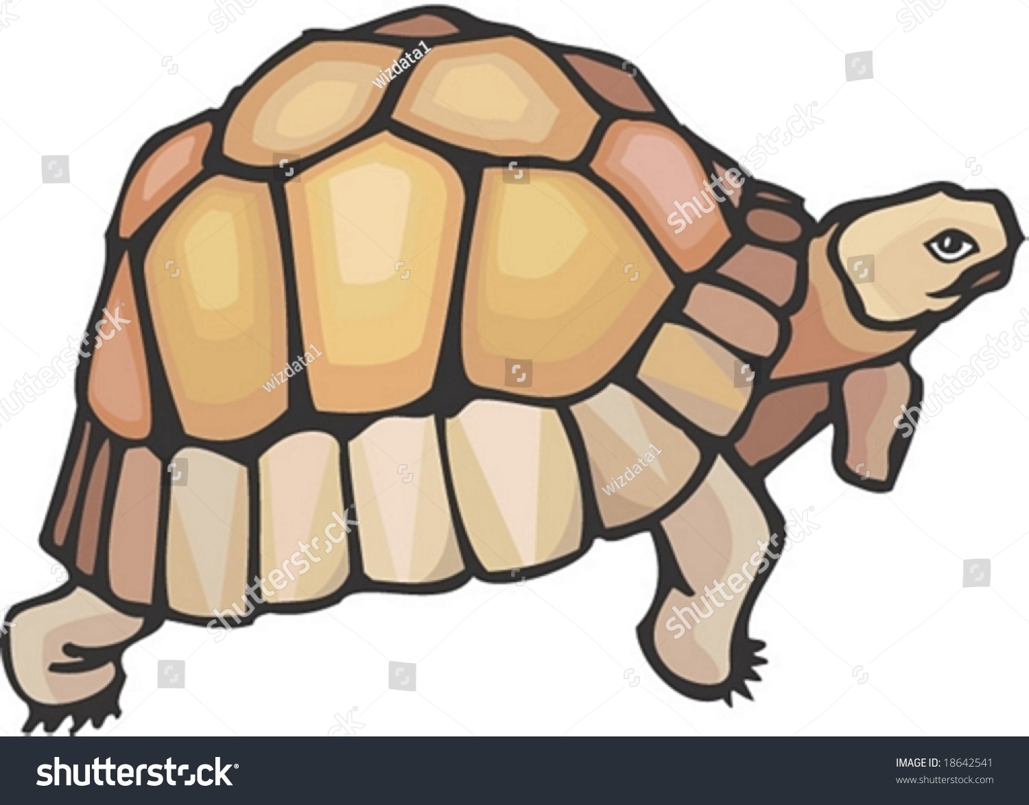 Turtle Character Stock Vector Illustration 18642541 : Shutterstock