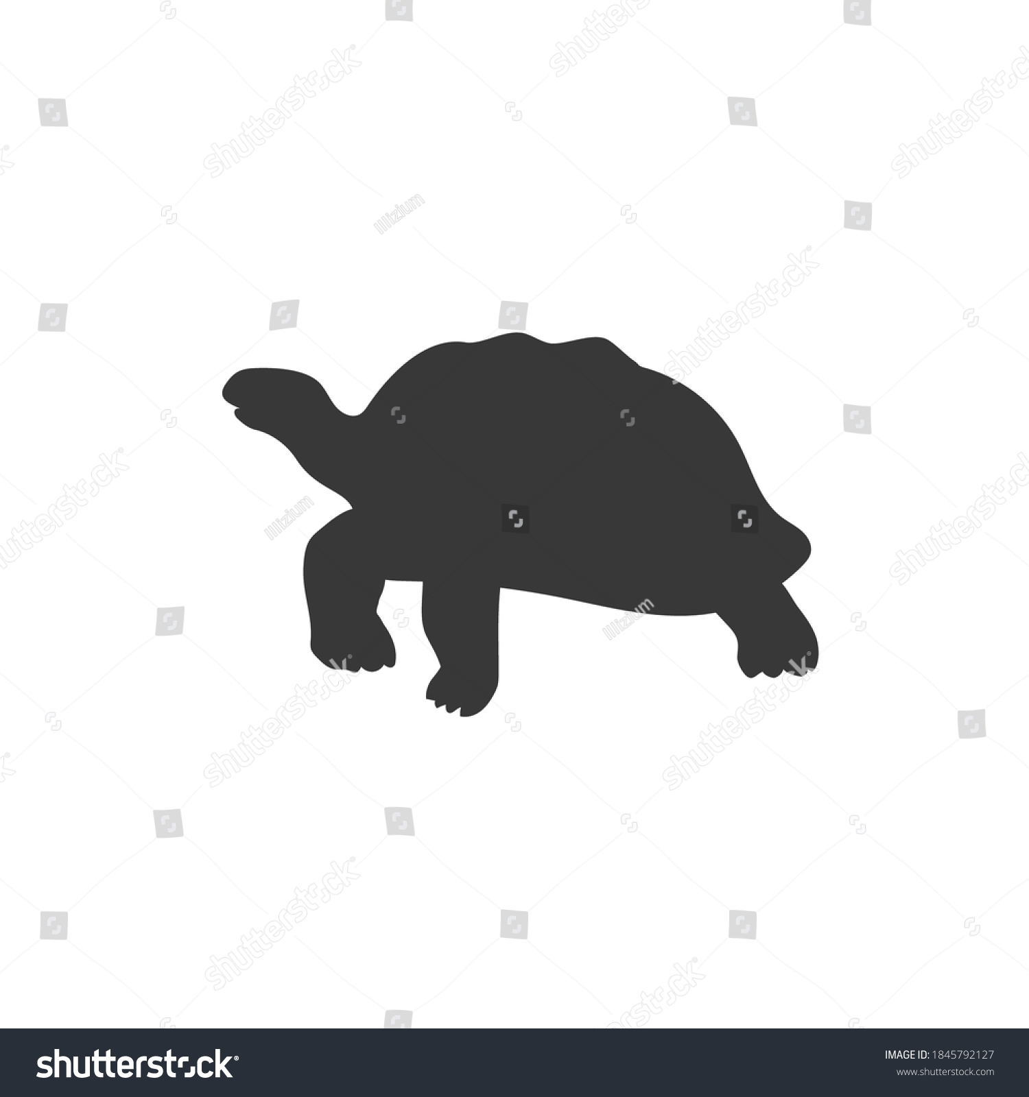 SVG of Turtle icon, vector illustration in flat svg