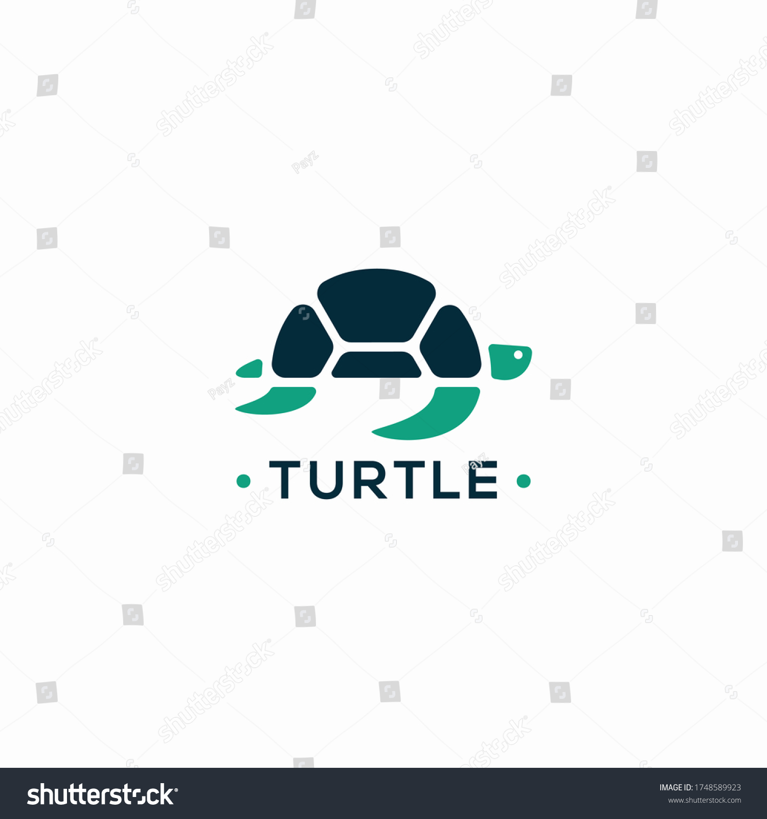 Turtle Logo Animal Green Abstract Stock Vector (Royalty Free ...