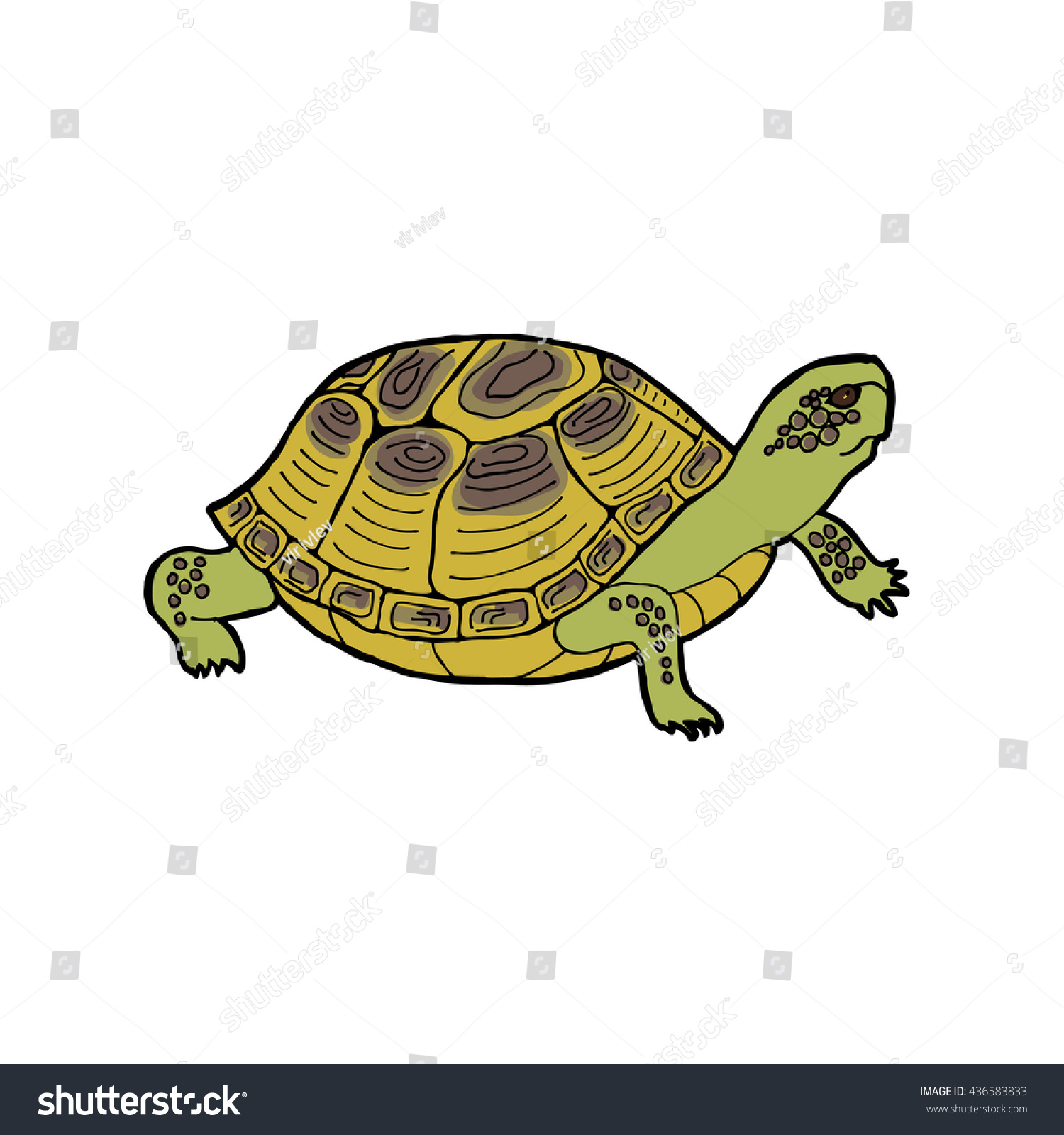 Turtle Vector Illustration Stock Vector (Royalty Free) 436583833