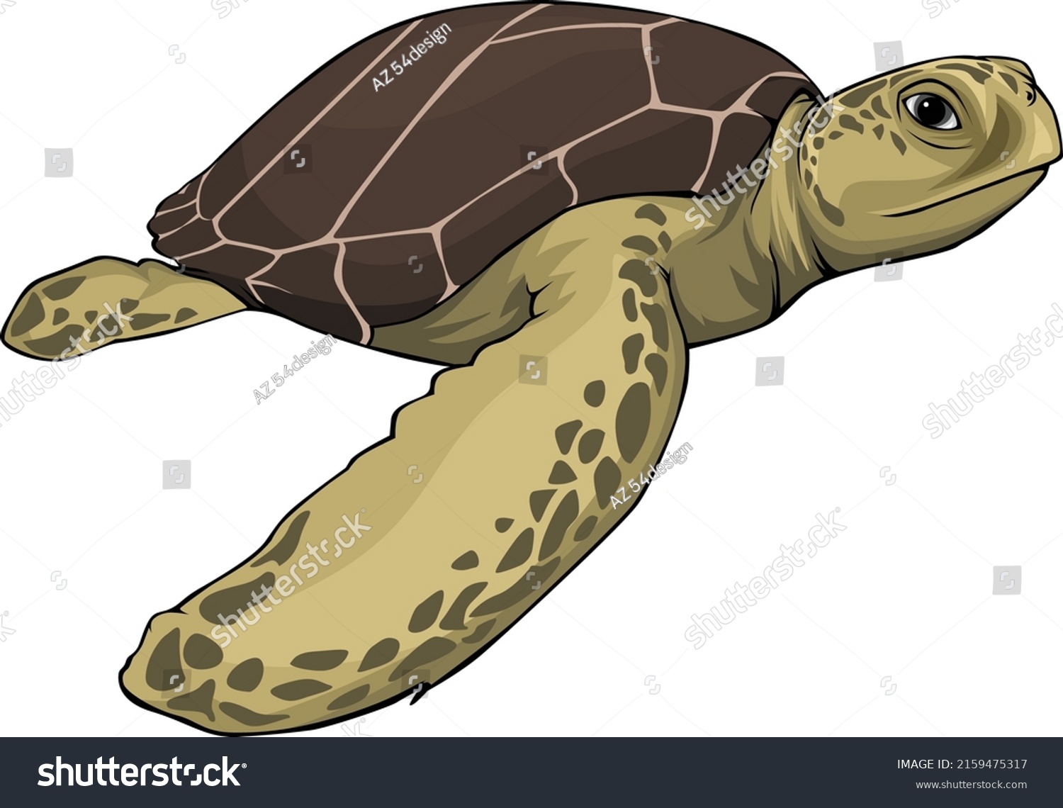 Turtle Vector Illustration Side View Point Stock Vector (Royalty Free ...