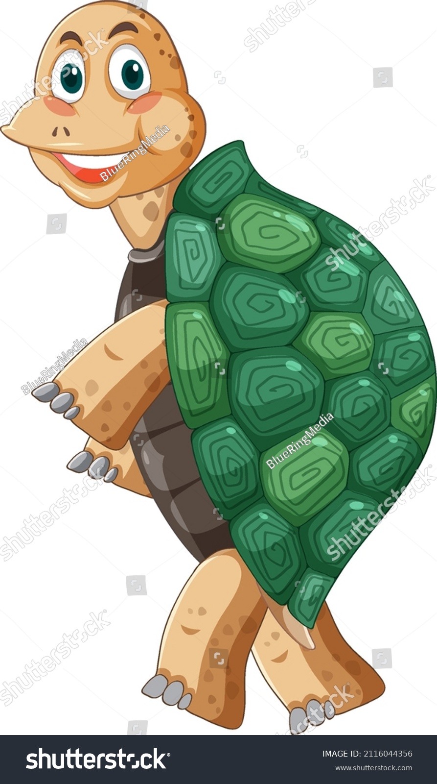 Turtle Green Shell Cartoon Character Illustration Stock Vector Royalty Free 2116044356 