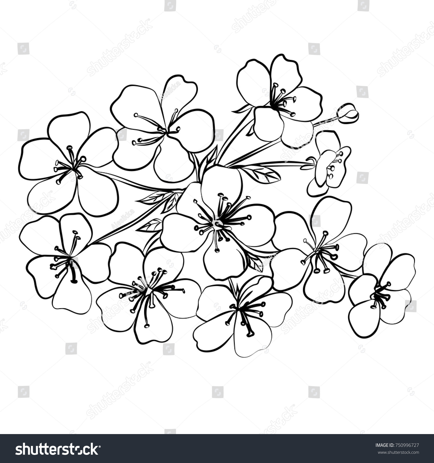 Twig Sakura Blossoms Vector Illustration Black Stock Vector (Royalty ...