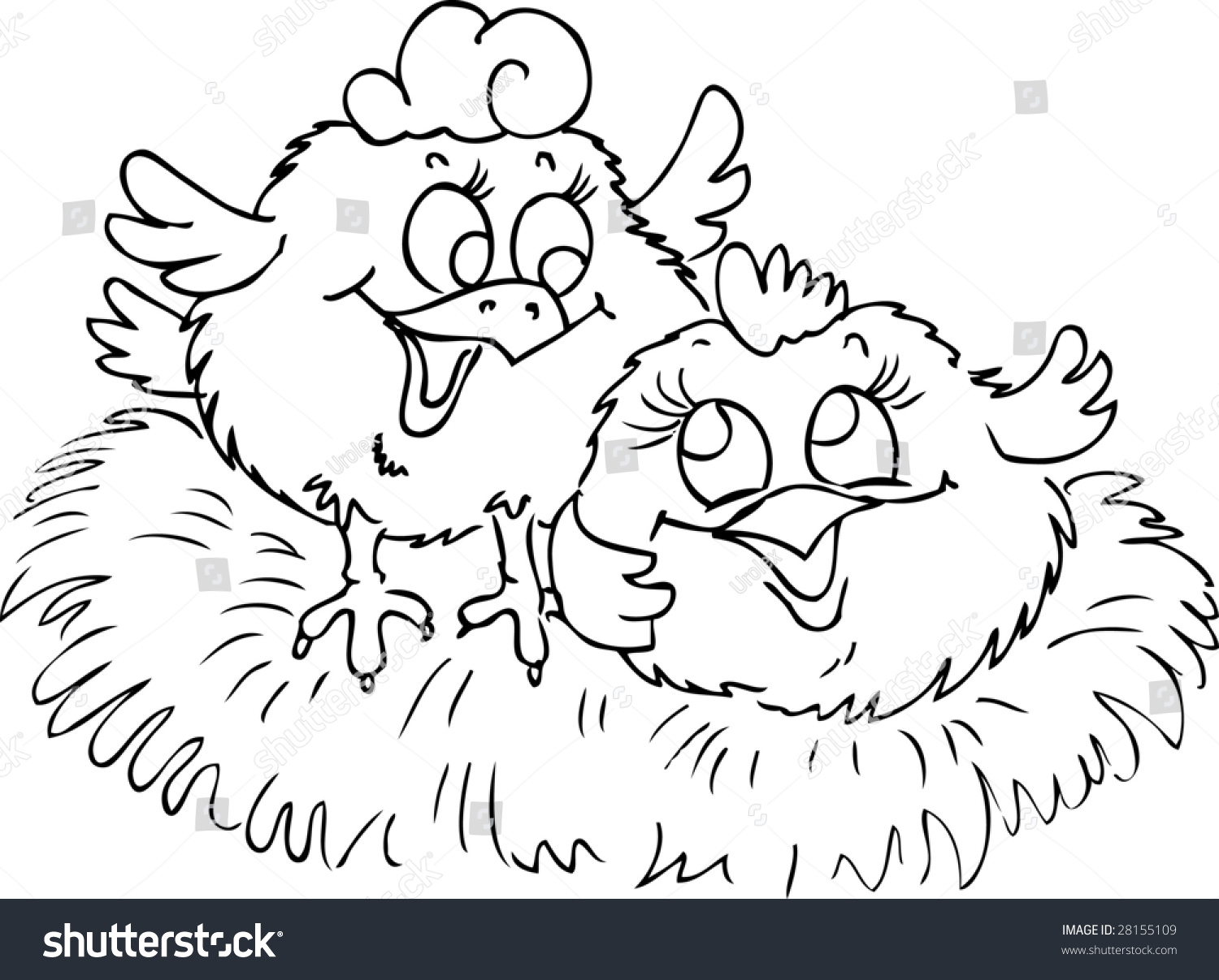two birds picture color