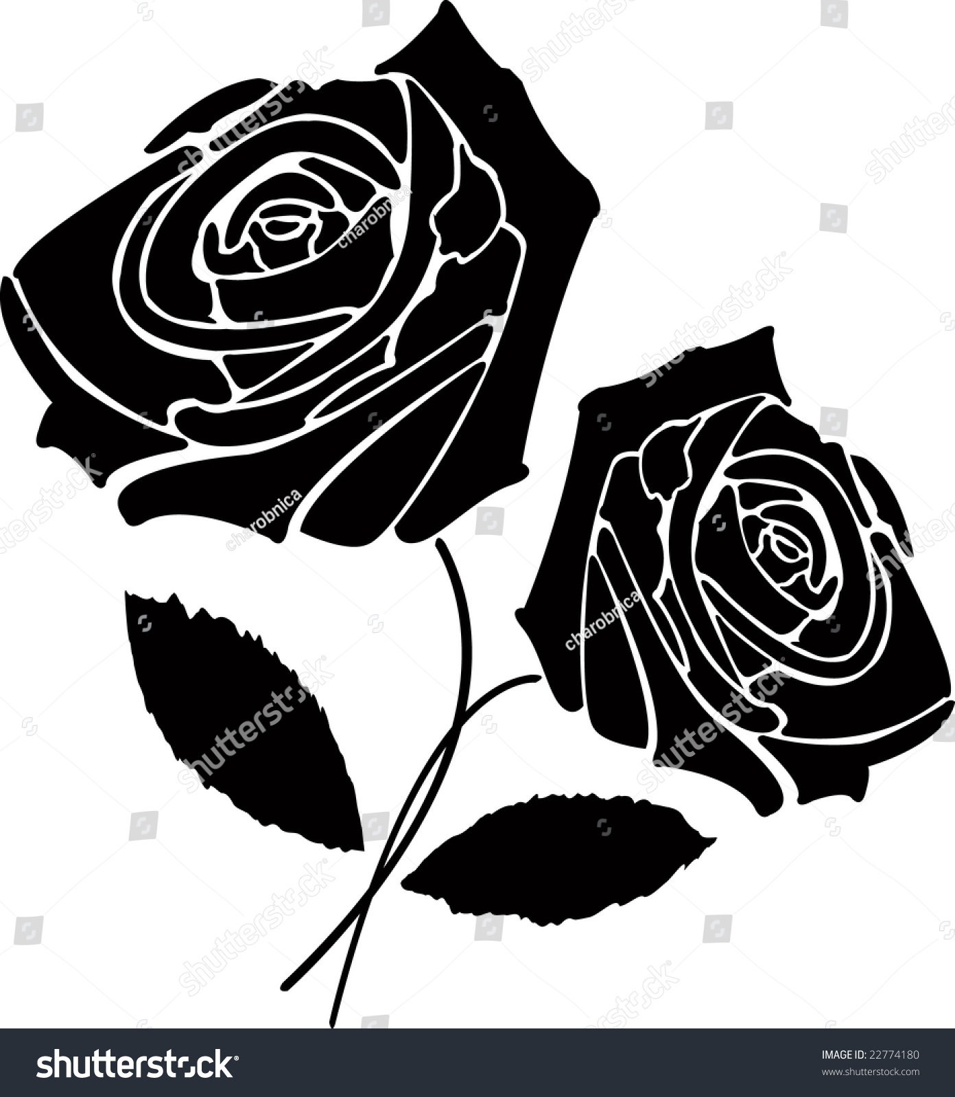 Two Black Roses Stock Vector 22774180 - Shutterstock