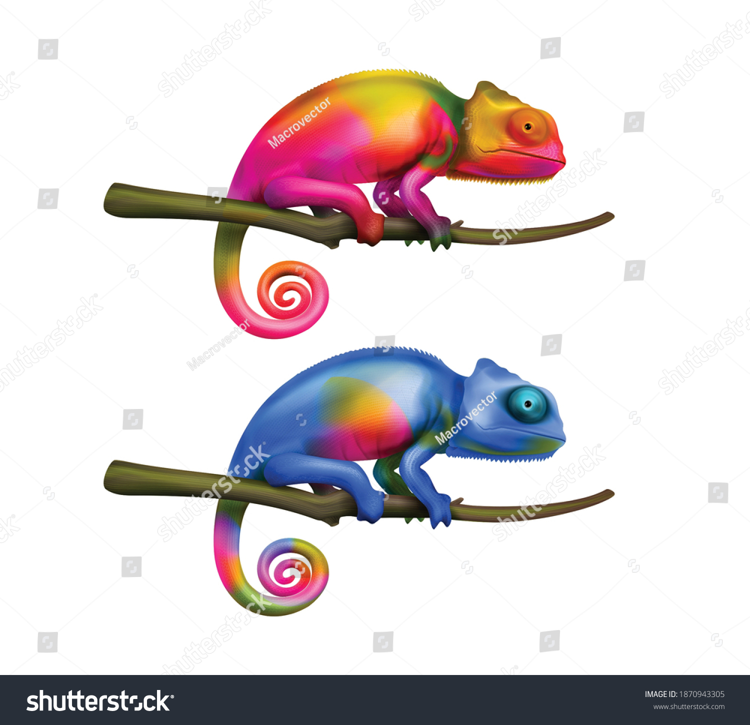 SVG of Two bright colorful chameleon lizards sitting on tree branches closeup isolated realistic images white background vector illustration      svg