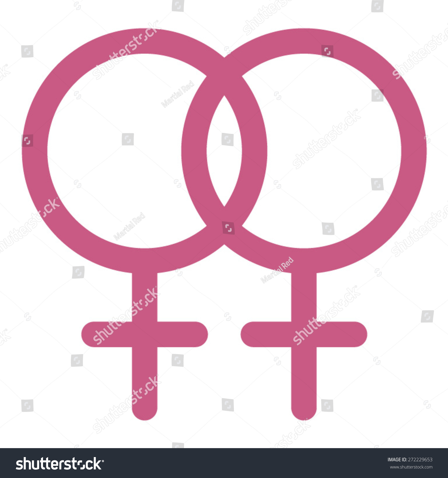 Two Female Gender Symbols Lesbian Couple Stock Vector Royalty Free