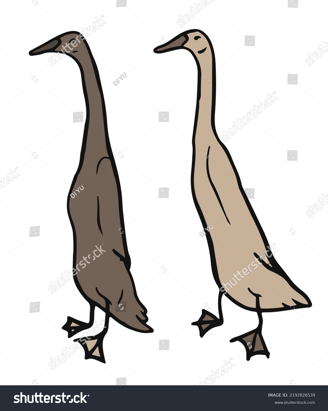 SVG of Two Indian runner duck isolated on white background. svg