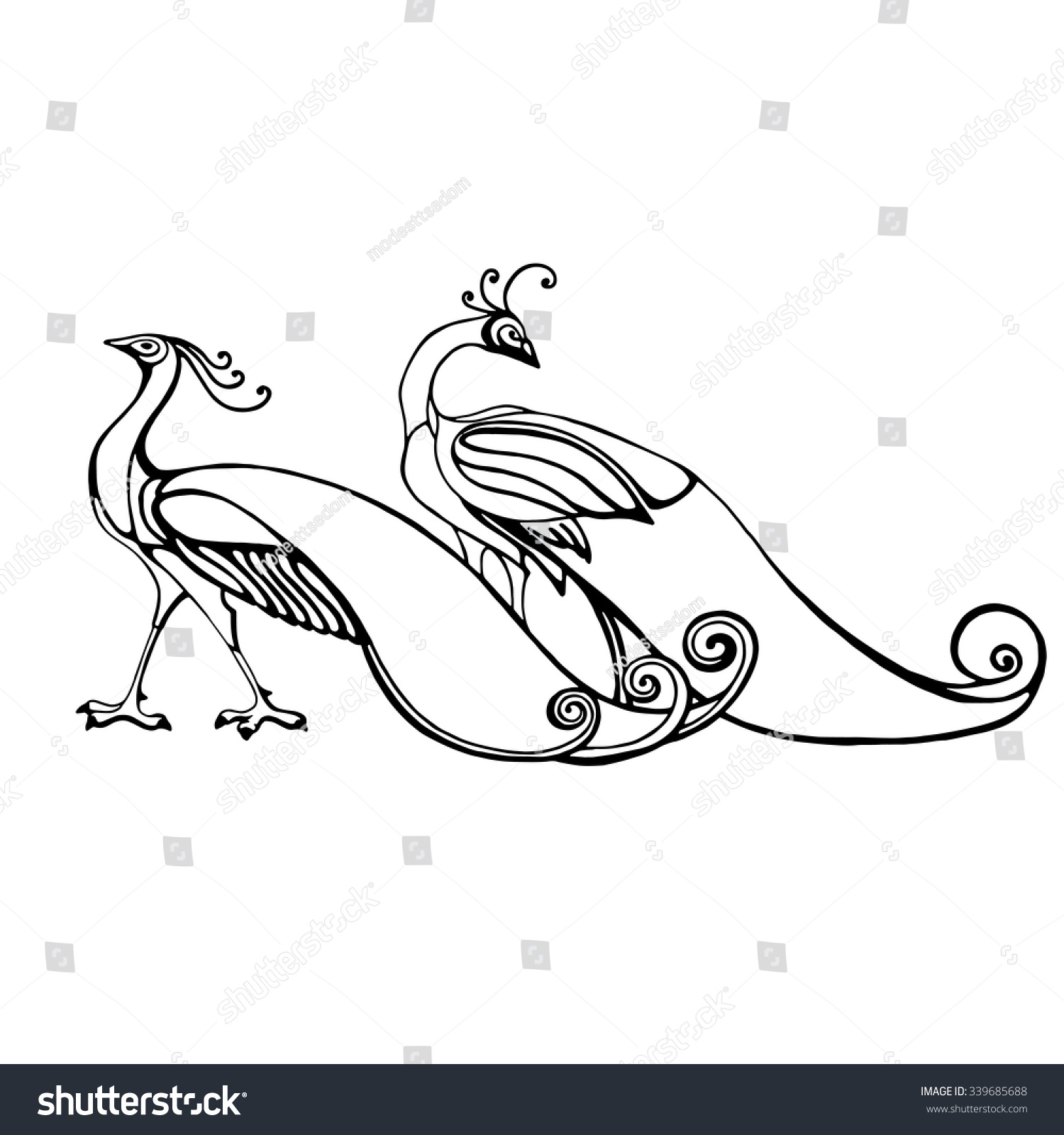 Two Peacock Stock Vector 339685688 - Shutterstock