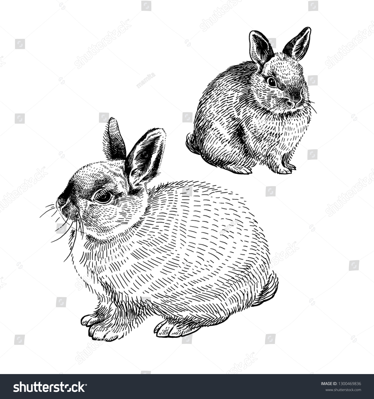 Myth of easter rabbit Images, Stock Photos & Vectors | Shutterstock