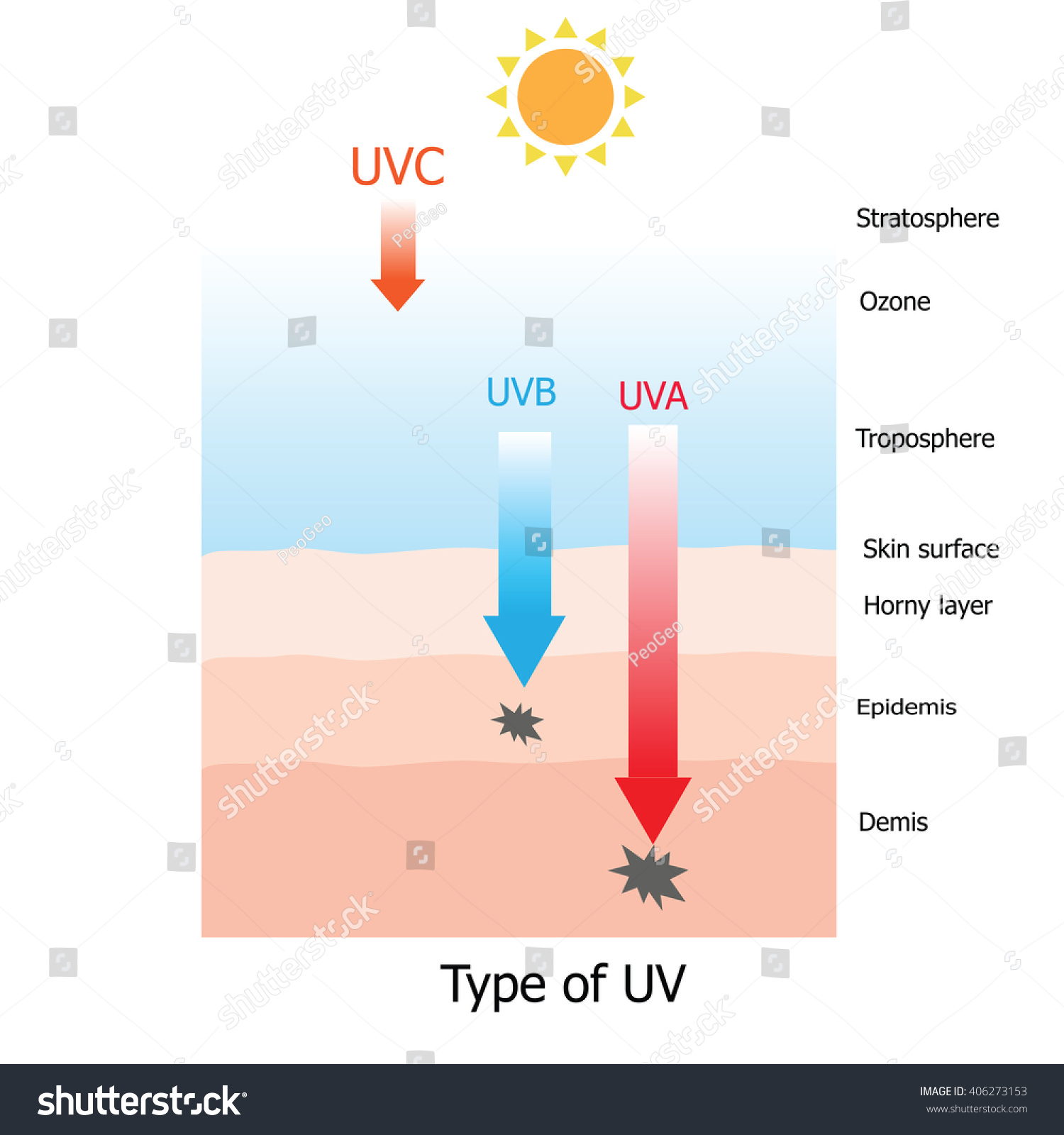 Type Uv Uvc Dangerous Ray Absorb Stock Vector (Royalty Free) 406273153 ...