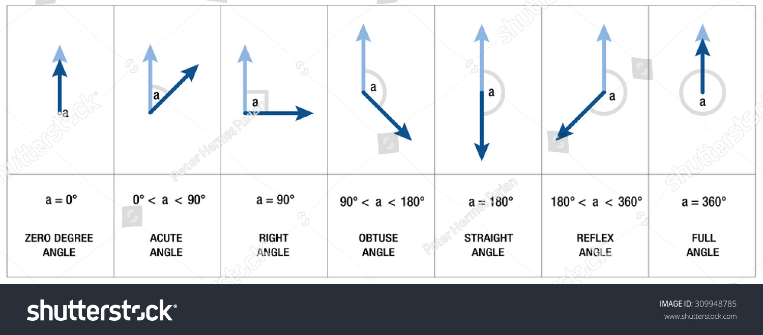 Types Measures Names Angles Like Right Stock Vector 309948785 ...