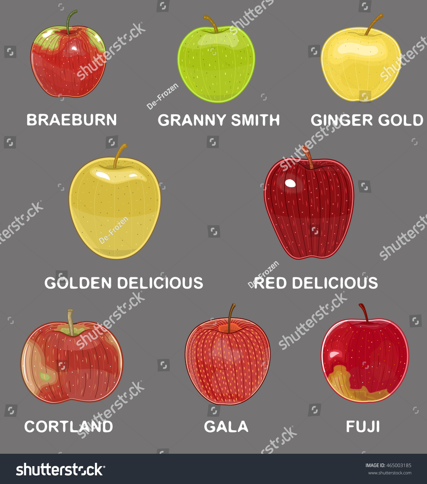 Types Apples Stock Vector Royalty Free