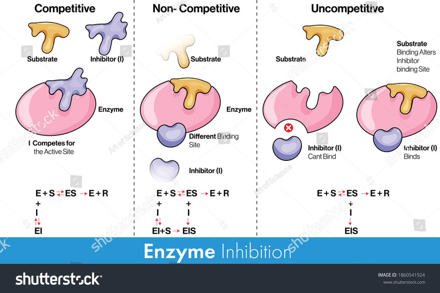 2,026 Inhibits Stock Vectors, Images & Vector Art | Shutterstock