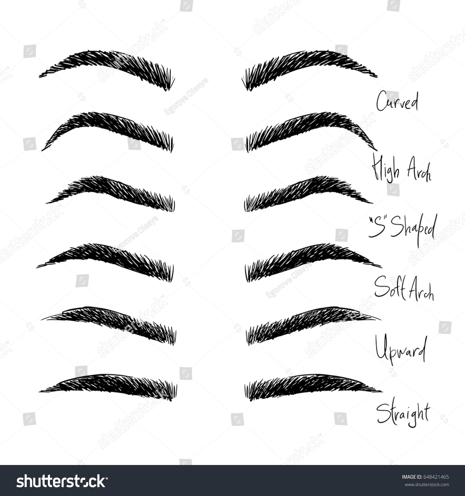 Types Eyebrows Illustrations Beauty Salons Stock Vector 648421465 ...